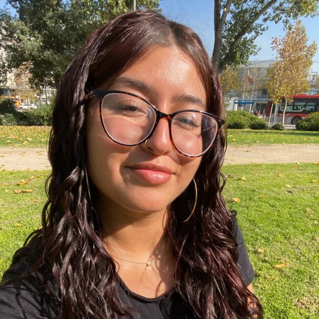 Babysitter in Santiago: Raquel ortiz