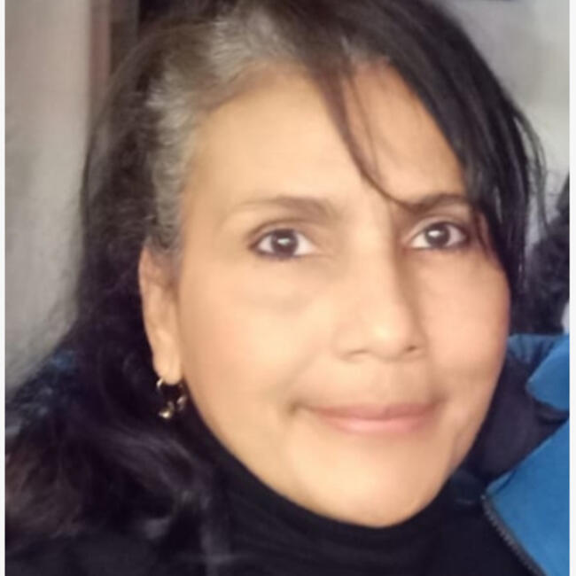 Babysitter in Valencia: Diana del Carmen