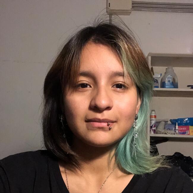 Niñera en Buenos Aires: Nicole Arevalo