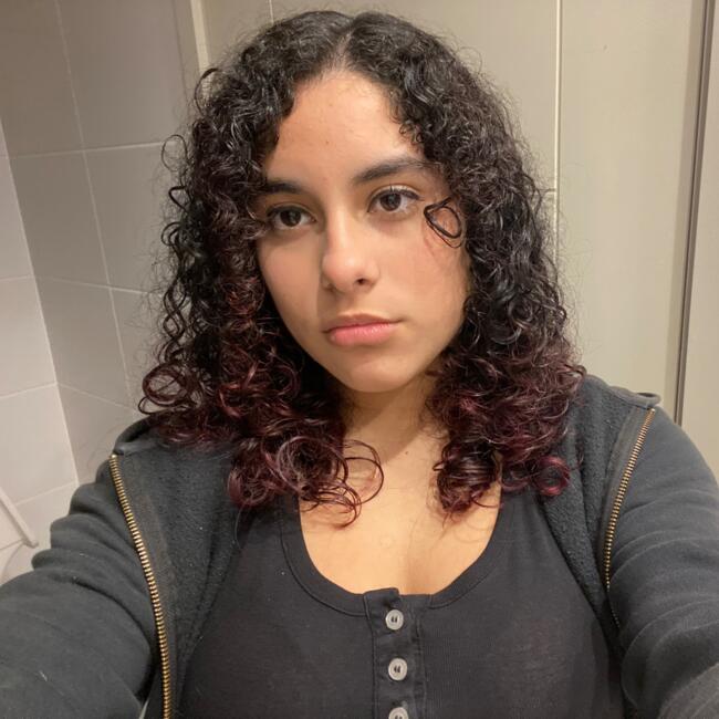 Niñera en Antofagasta: Elizabeth Acuña