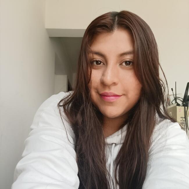 Baby-sitter in Bogota: Alejandra