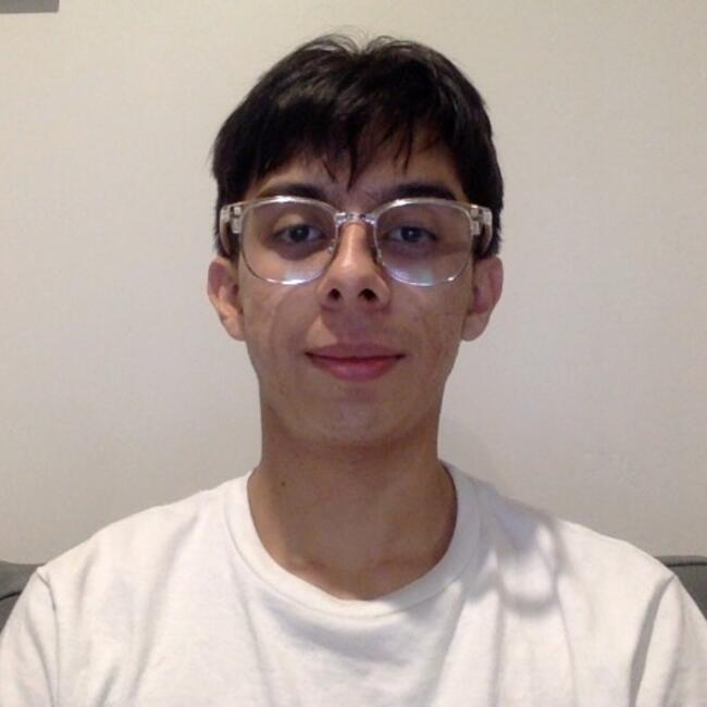 Babysitter in Auckland: Juan Esteban