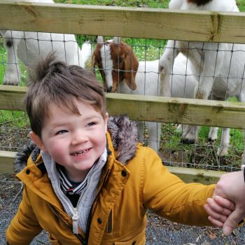 Babysitting job in Galway: babysitting job Ronan