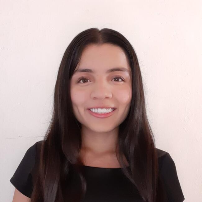 Babysitter στην περιοχή Ibagué: Paula Melisa