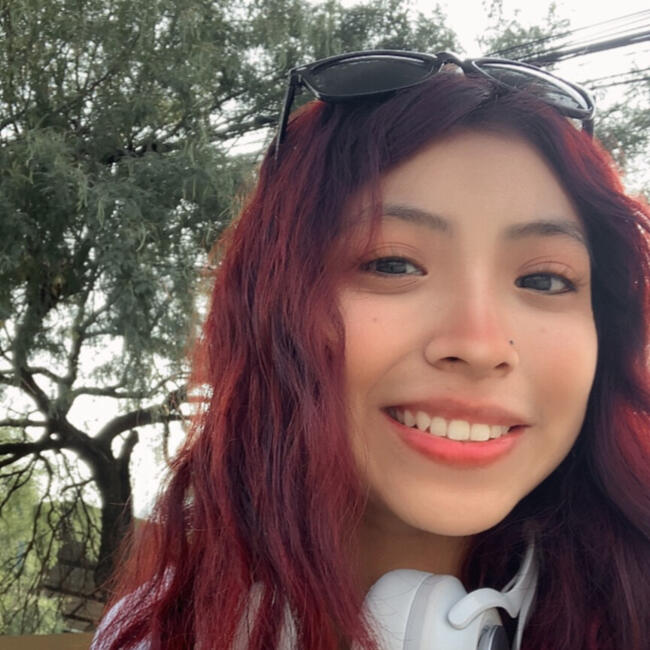 Niñera en Monterrey: LIZETH VIRIDIANA