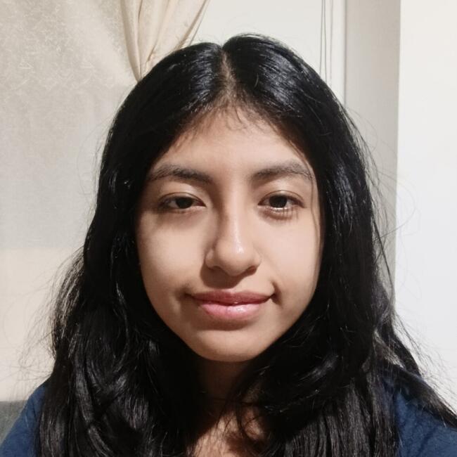 Babysitter in Lima: Sury