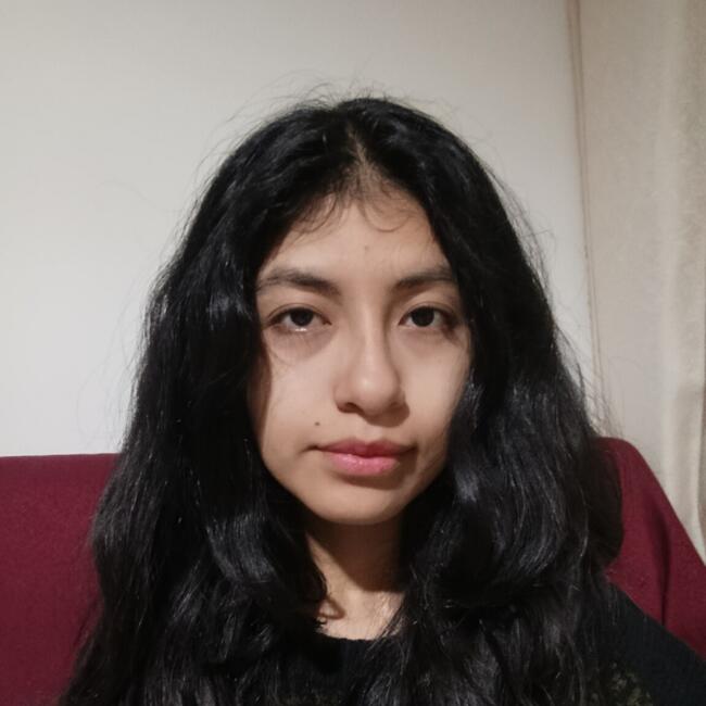 Babysitter in Lima: Sury