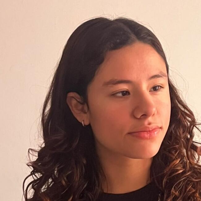 Babysitter in Querétaro City: Anny