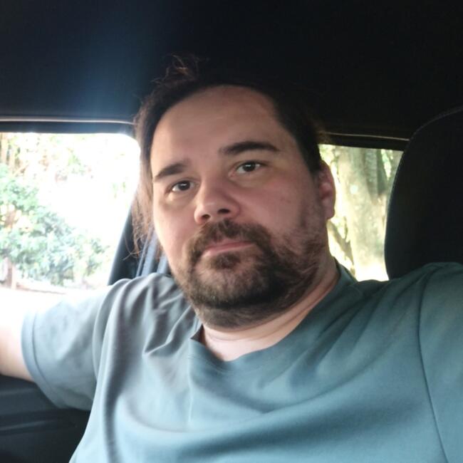 Babysitting job in Tubarão: Vilson