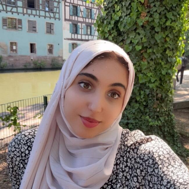 Babysitter in Heidelberg: Insaf