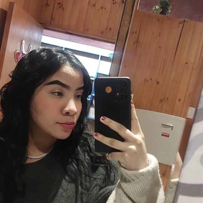 Babysitter in Santiago: Dina