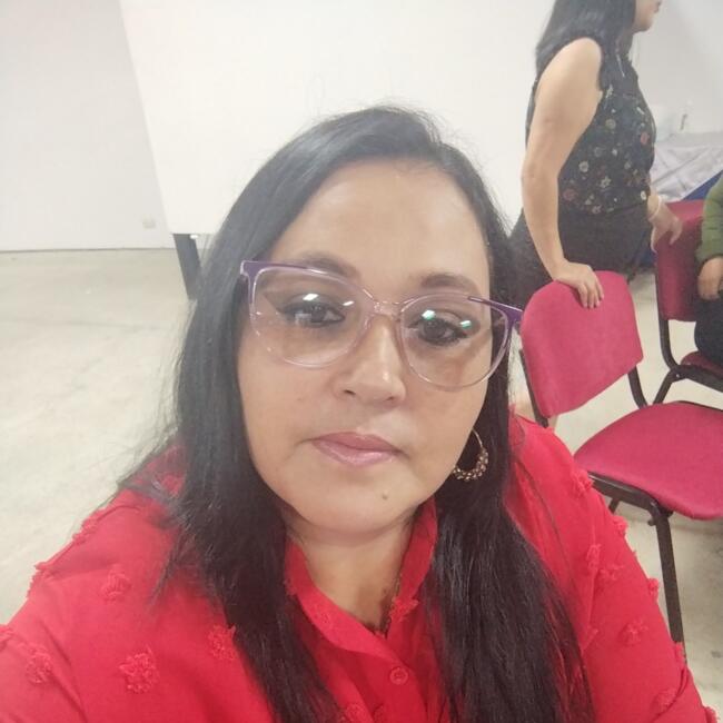 Babysitter in Concepción: Ivannia