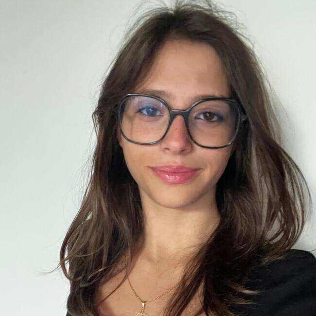 Babysitter in Villiers-en-Plaine: Nell