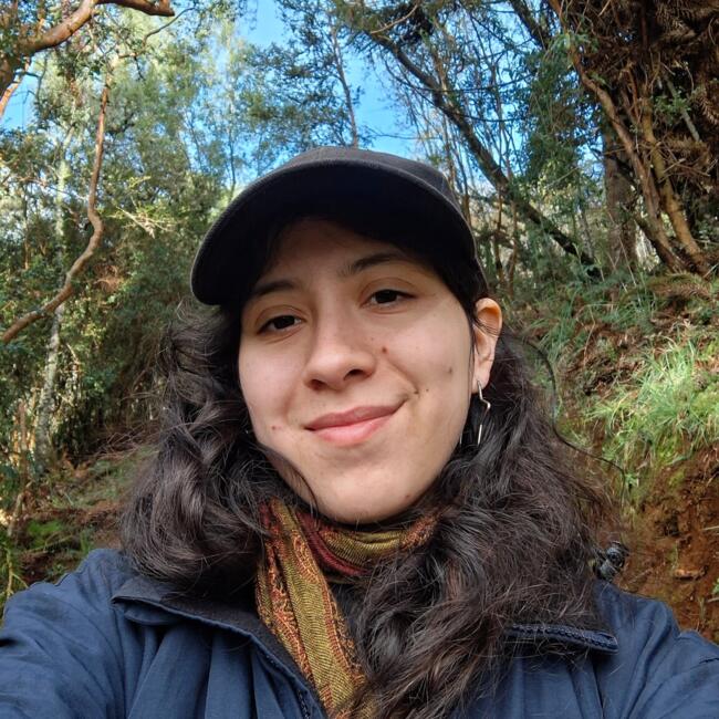 Babysitter in Concepción: Gabriela l Arte y Manualidades