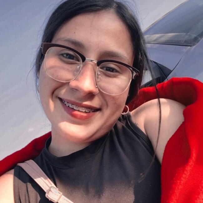 Babysitter in Iquique: Paola morales