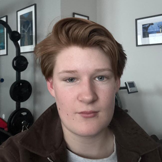 Babysitter in Frogner (Buskerud fylke): JonAlexsander