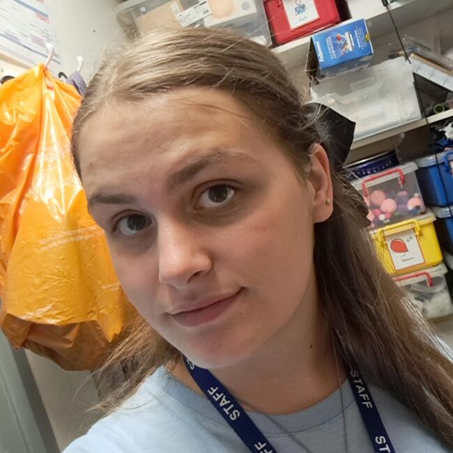 Babysitter in Blackwood: Cariad