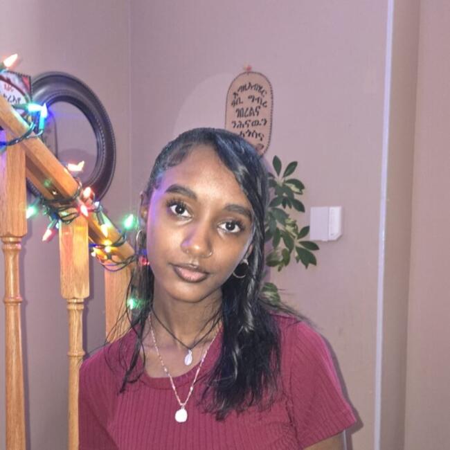 Babysitter in Toronto: Nazriet