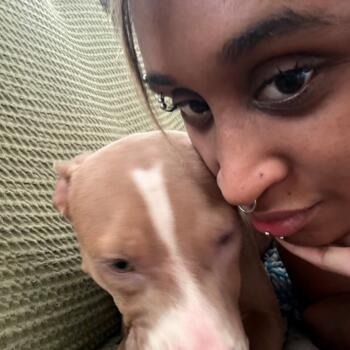 Babysitter in San Francisco: Sia