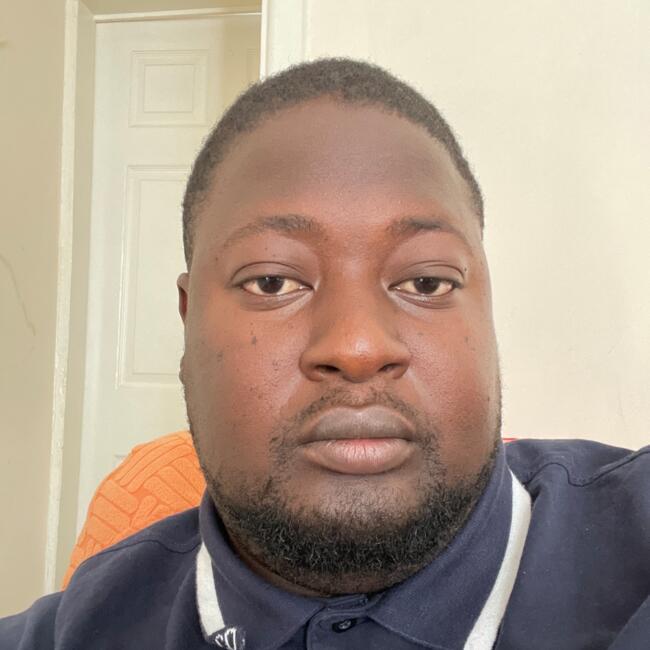 Babysitting job in Birmingham: Rasak