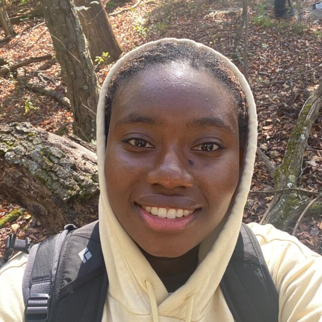 Babysitter in Silver Spring: Saran