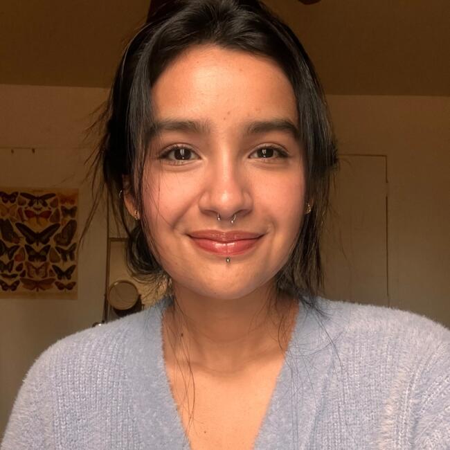 Babysitter in Villaviciosa de Odón: Nicolle Aceituno