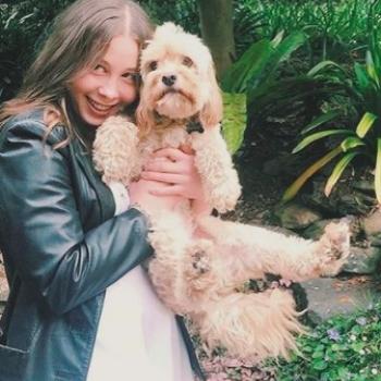 Babysitters in Sydney: George