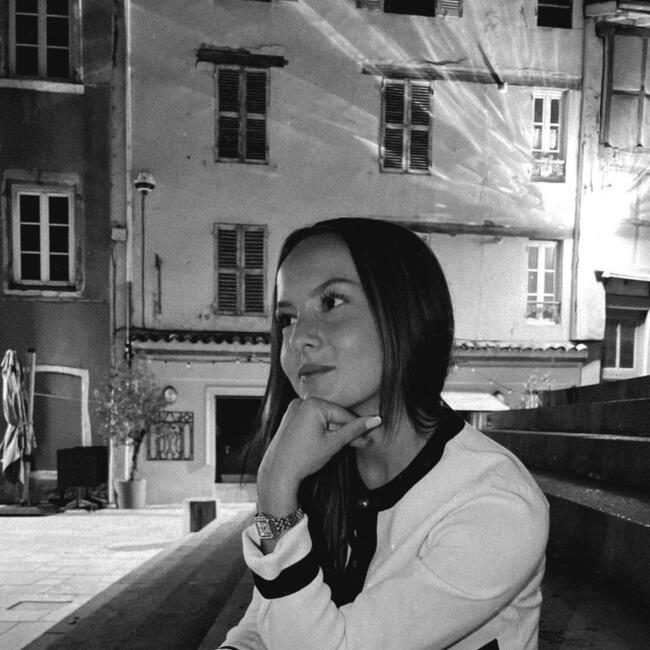 Babysitter in Replonges: Romane