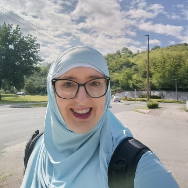 Nanny in Sarajevo: Zinajda