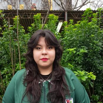 Babysitter in Valdivia: Francisca