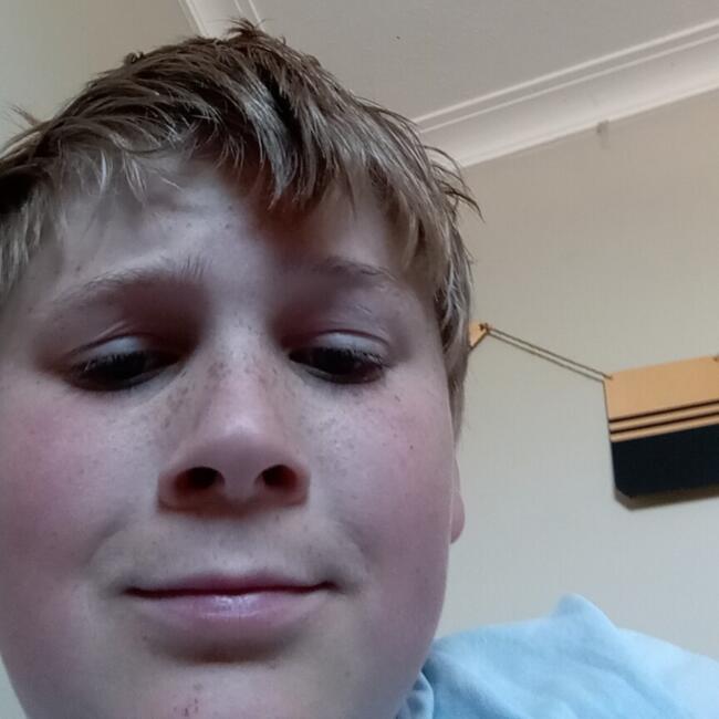 Babysitter in Invercargill: Ryan