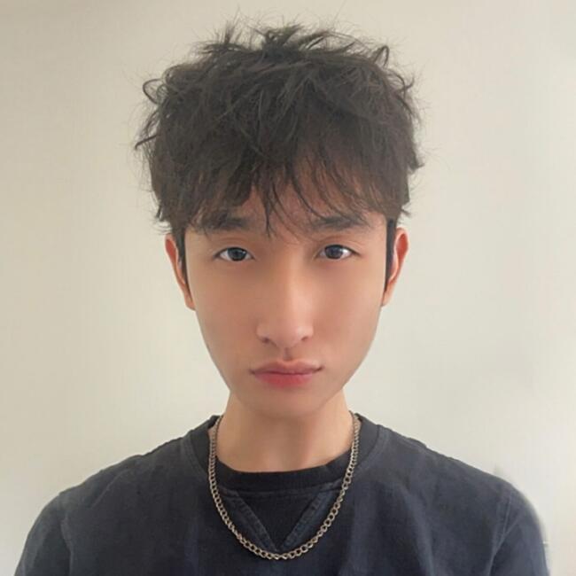 Baby-sitter in Nepean: Nico