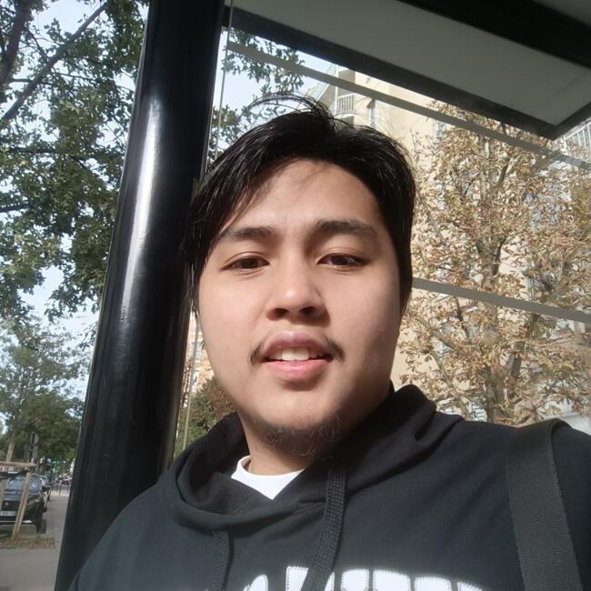 Babysitter in Courbevoie: DanVincent