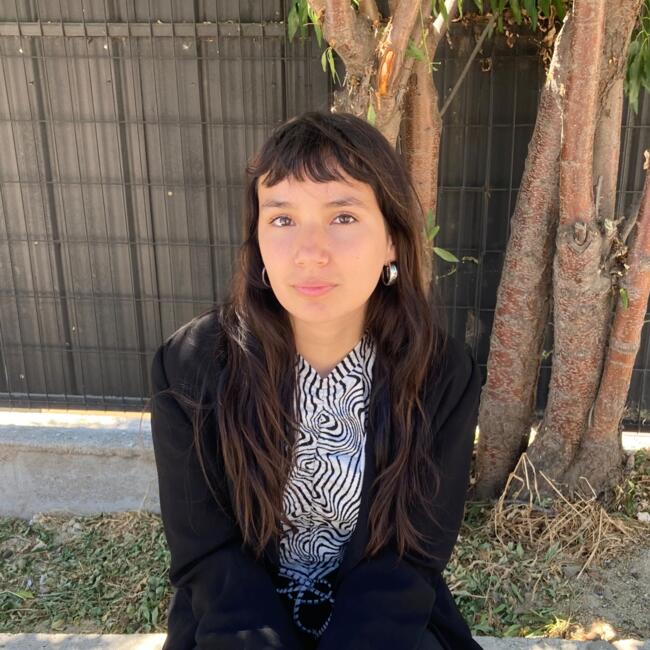 Niñera en Villa Alemana: Kathia