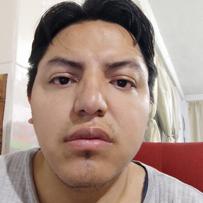 Babysitting job in Mexico City: Adan Alberto Rosales Pineda
