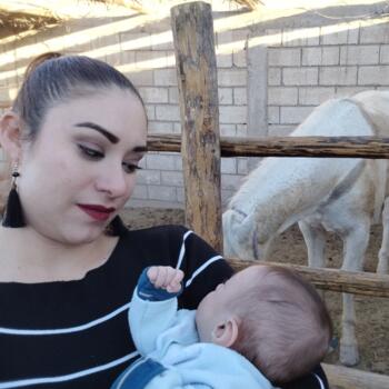 Babysitting job in Torreón: babysitting job Lizeth garza