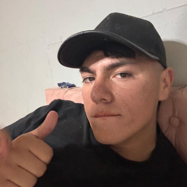 Babysitting job in La Florida: Jose