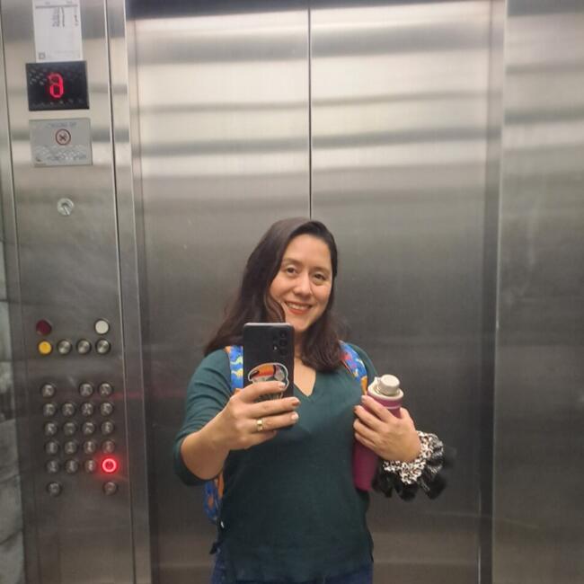 Trabajo para niñera en Viña del Mar: Mónica