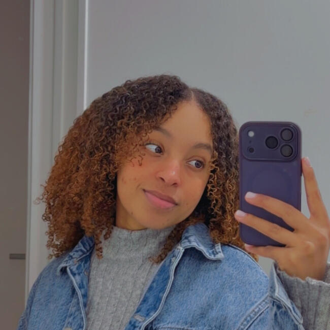 Babysitting job in Amadora: Idel