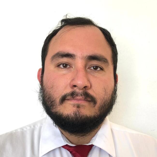 Trabajo para niñera en Tlaxcala de Xicohténcatl (Estado de Tlaxcala): Enrique