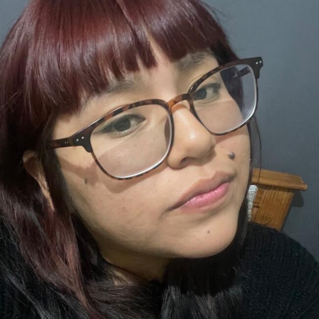 Babysitter in Santiago: Ximena