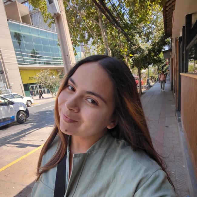 Babysitting job in Port Montt: Antonia