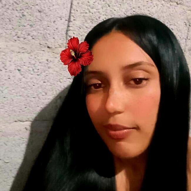 Babysitter in Guarulhos: Alane