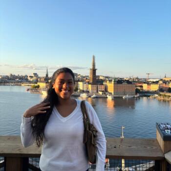 Barnvakt i Stockholm: Alanis