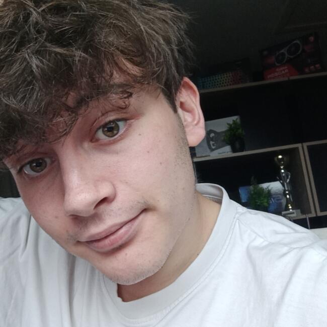 Babysitter in Villaines-sous-Lucé: Paulin