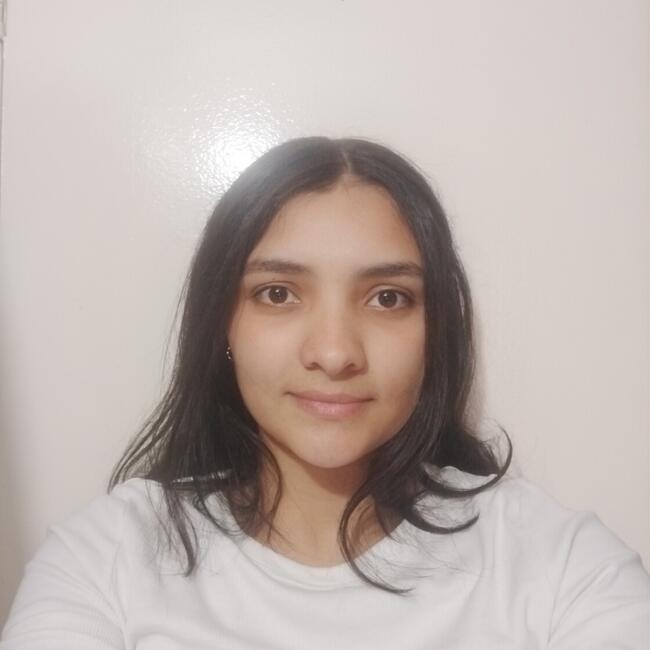 Babysitting job in Bogotá: Rocicela