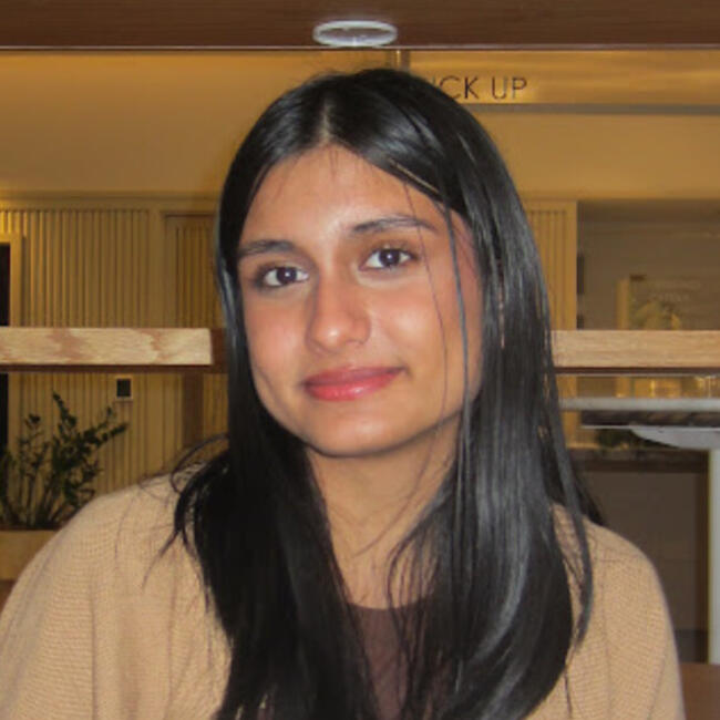 Babysitter in New York: Priyasha