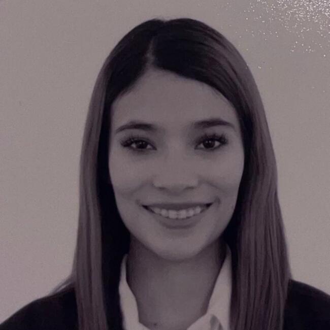 Babysitter in Apodaca: Vianey Perez