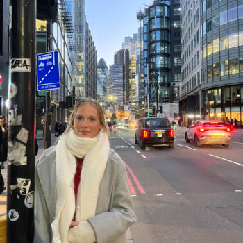 Babysitter Ghent: Stien