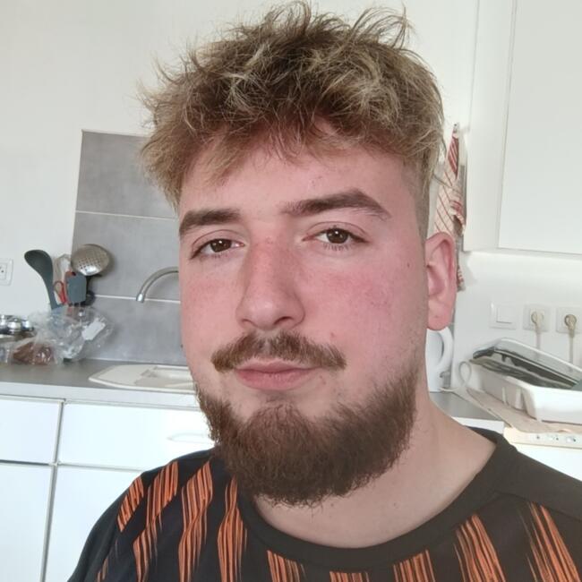 Babysitter in Pecquencourt: Joshua